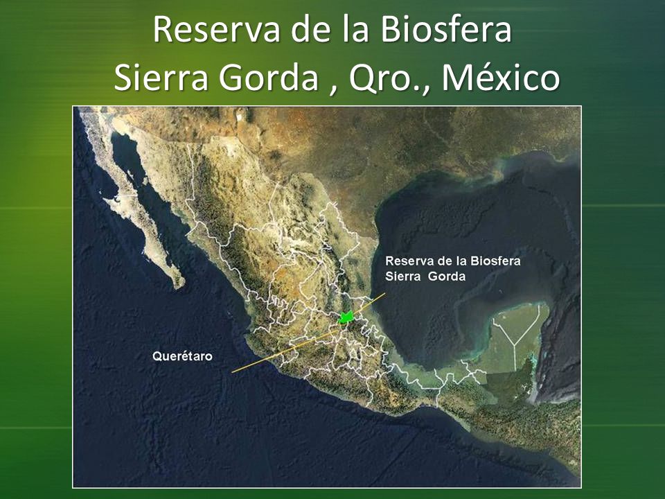 Reserva de la Biosfera Sierra Gorda , Qro., México
