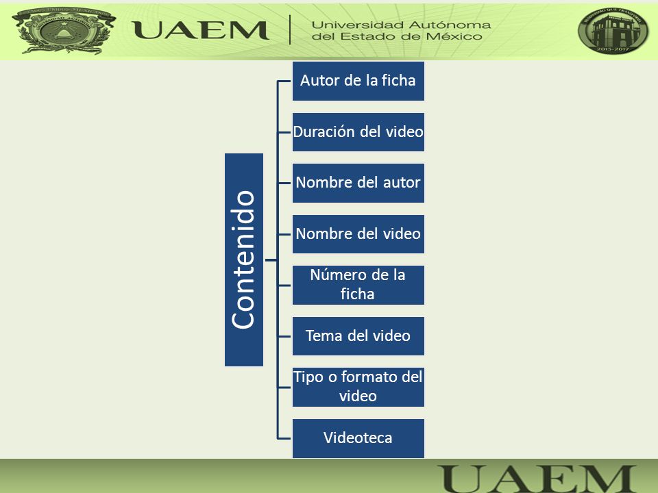 Tipo o formato del video